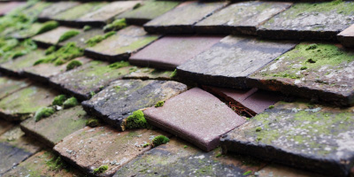 West Hill roof repair costs